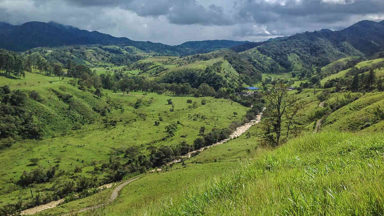 La propuesta permitirá a los mineros recuperar el 90 por ciento del oro que hay en las rocas.