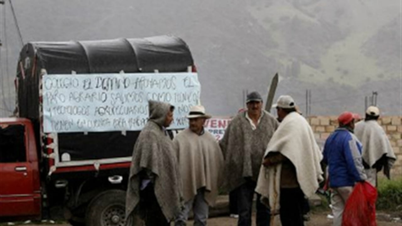Los campesinos siguen a la espera de la ejecución de proyectos para la reducción en los precios de los insumos agrícolas.