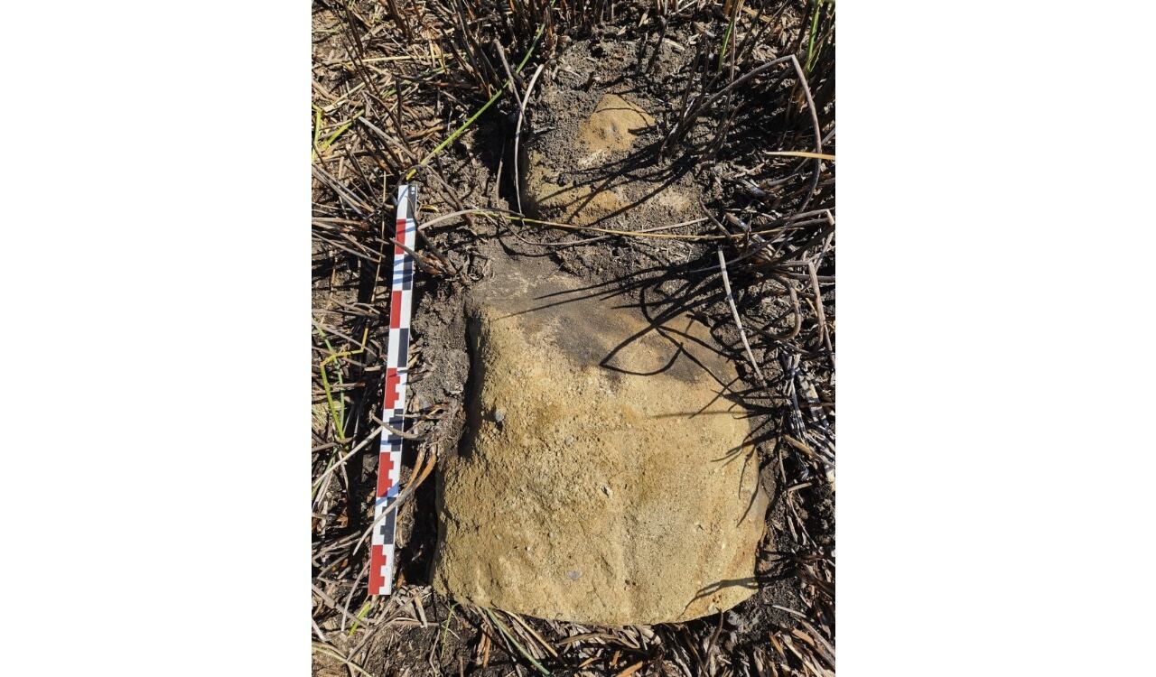La nueva estatua hallada tiene una altura aproximada de 1,60 metros