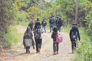 Estudiantes en condición de discapacidad, ubicación geográfica o razones socioeconómicas complejas y matriculados en colegios que necesitan reubicación temporal son los que tienen el servicio de transporte.