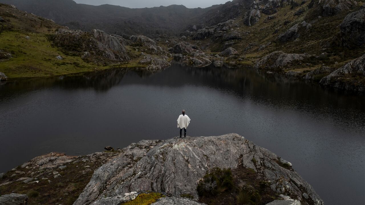 Minambiente emprendió desde 2021 una cruzada de largo alcance con la que busca restaurar más de un millón de hectáreas (a 2030).