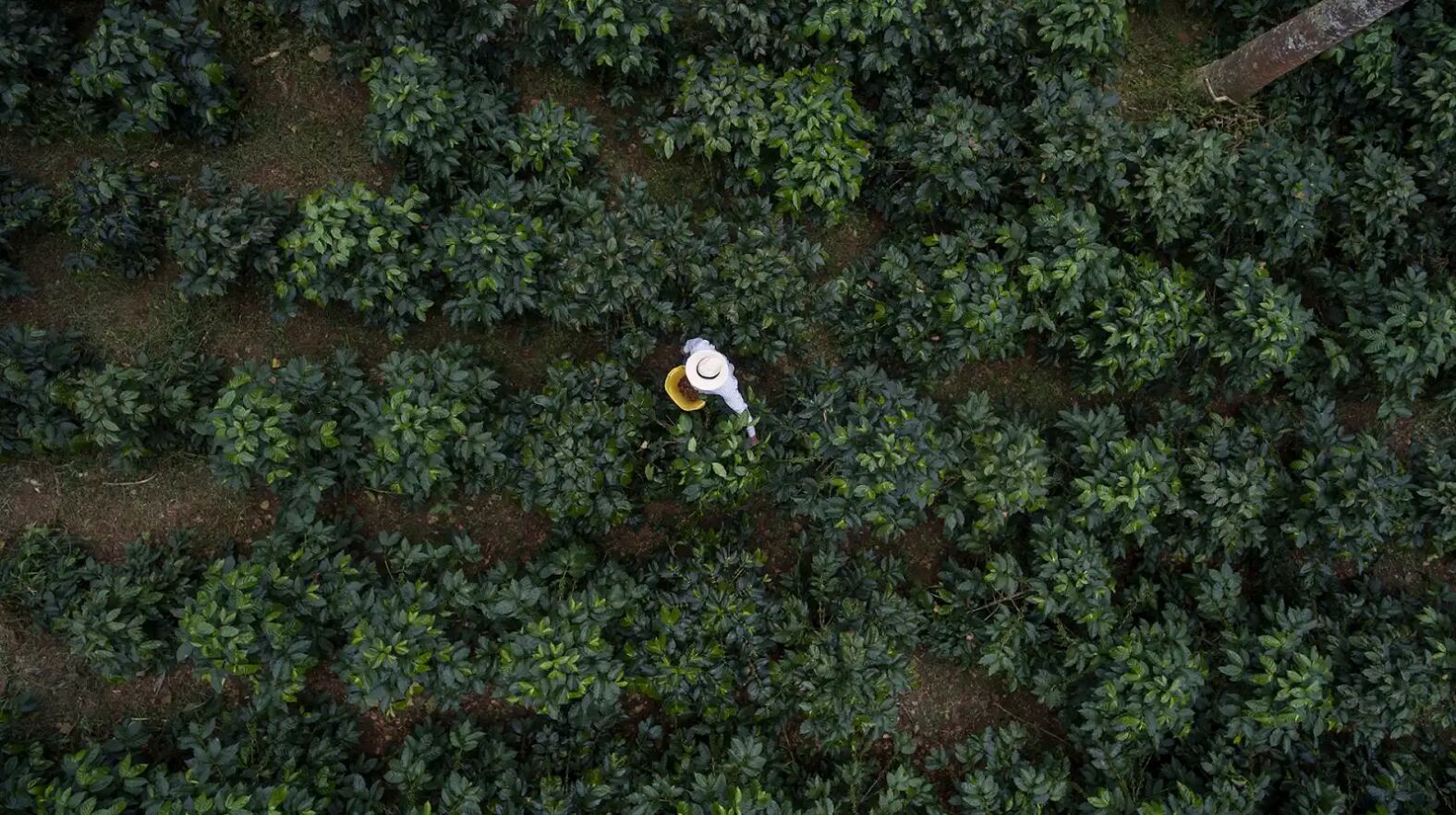 Juan Valdez sostenible