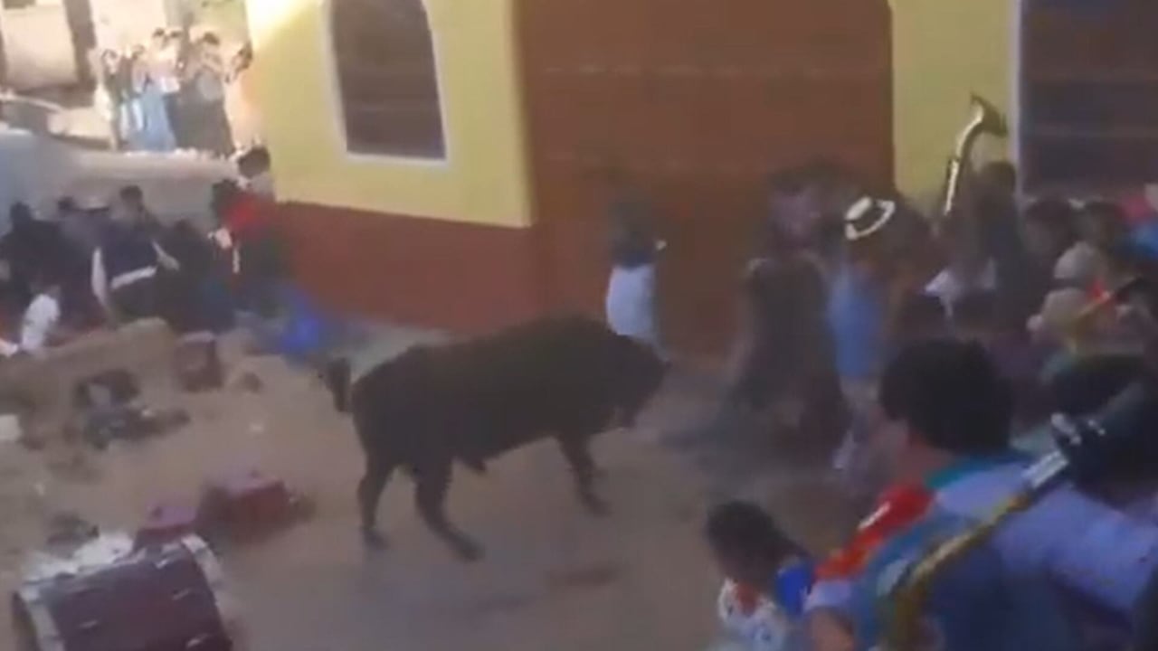Toro embiste a 12 personas luego de escaparse de un coliseo en Perú
