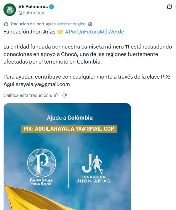 Anuncio del Palmeiras de Brasil