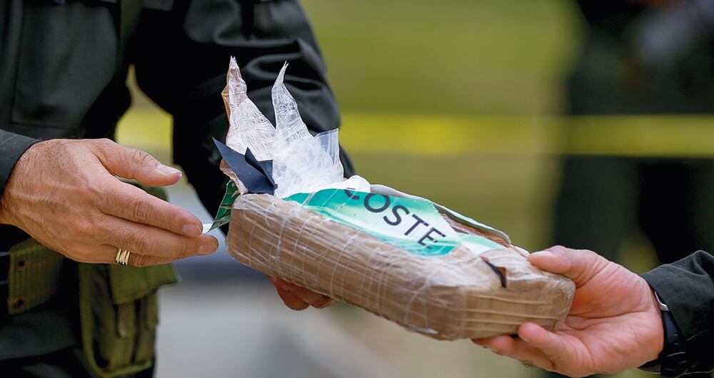 Según Ávila, el Gobierno ha presentado resultados positivos en incautación y destrucción de laboratorios de cocaína.