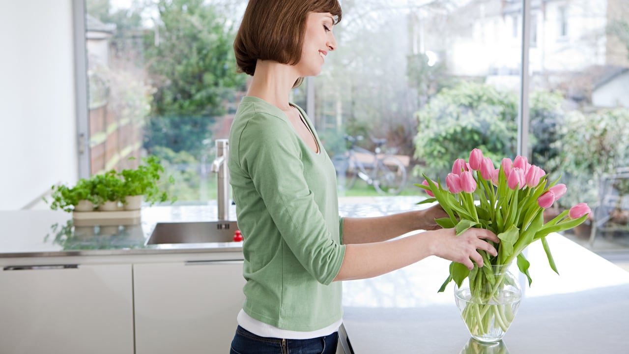 Explore la pureza y la perfección que los tulipanes blancos representan en un ramo inmaculado.