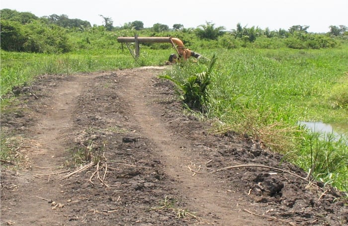 Los ganaderos y cultivadores de palma africana, en inmediaciones del parque deforestaron, construyeron un dique y secaron humedales con el banco de maquinarias de Corpoica e Incoder. Dijeron haber realizado los trabajos con licencia ambiental de Corpamag, pero a través de un comunicado esta corporación ambiental lo negó.