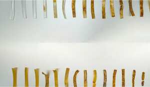 El 'plástico vivo', como lo definen los científicos en un estudio recogido este martes (30.04.2024) por la revista Nature Communications, es un material de poliuretano termoplástico blando que puede ser usado comercialmente para fabricar calzado, alfombrillas, cojines o espumas con memoria.