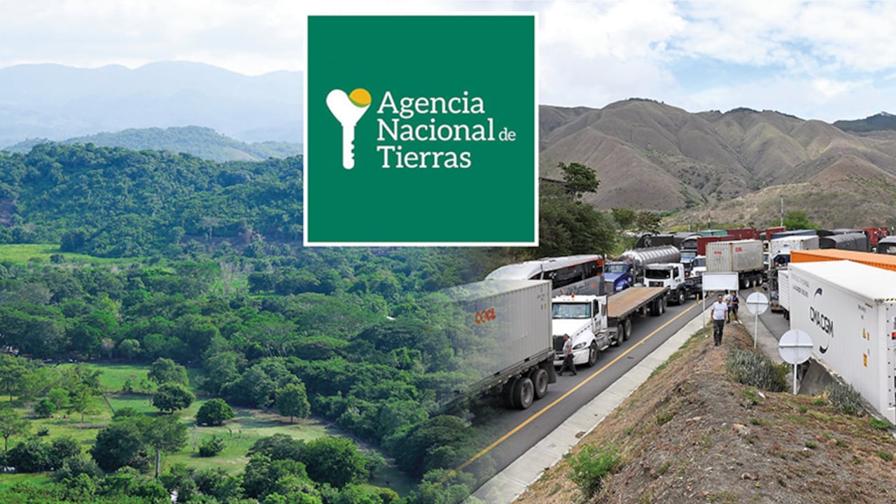 A la Agencia Nacional de Tierras están llegando ofertas de predios que podrían ser baldíos. Los tenedores de las fincas no han podido demostrar los títulos de propiedad.