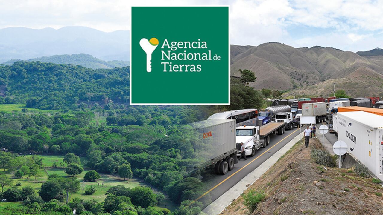 A la Agencia Nacional de Tierras están llegando ofertas de predios que podrían ser baldíos. Los tenedores de las fincas no han podido demostrar los títulos de propiedad.