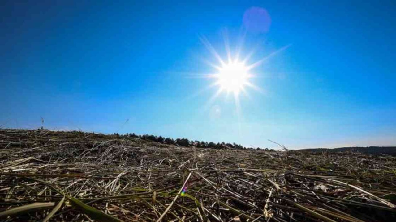 En Europa esperan una ola de calor sin precedentes la próxima semana. Foto: DW