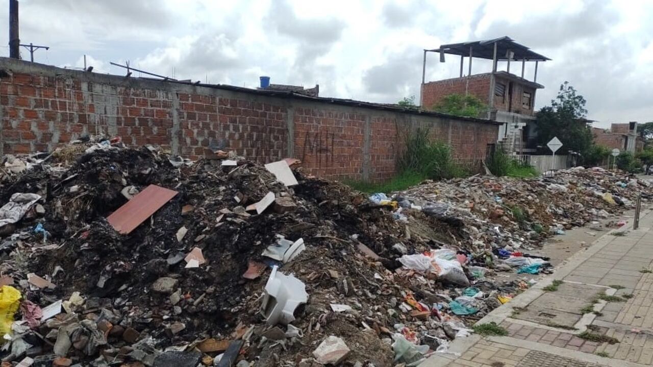 Las autoridades ambientales pidieron apoyo de los ciudadanos para que los puntos erradicados no vuelvan a llenarse de residuos.