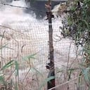Las comunidades misak lanzaron esta alerta para que las autoridades las ayuden en estos momentos y evitar así alguna tragedia.