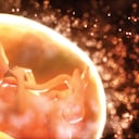 Human fetus in the womb. Digitally generated image.