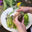 La alcachofa está compuesta de fibras.