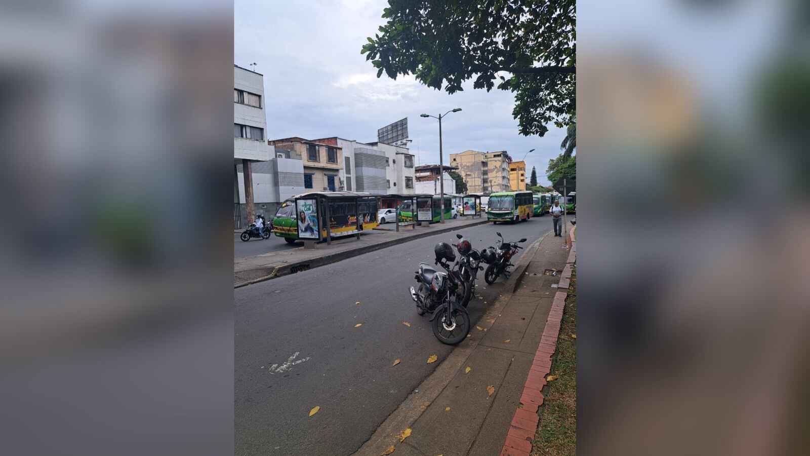 Los buses se instalaron en la Avenida 2 Norte, frente al CAM.