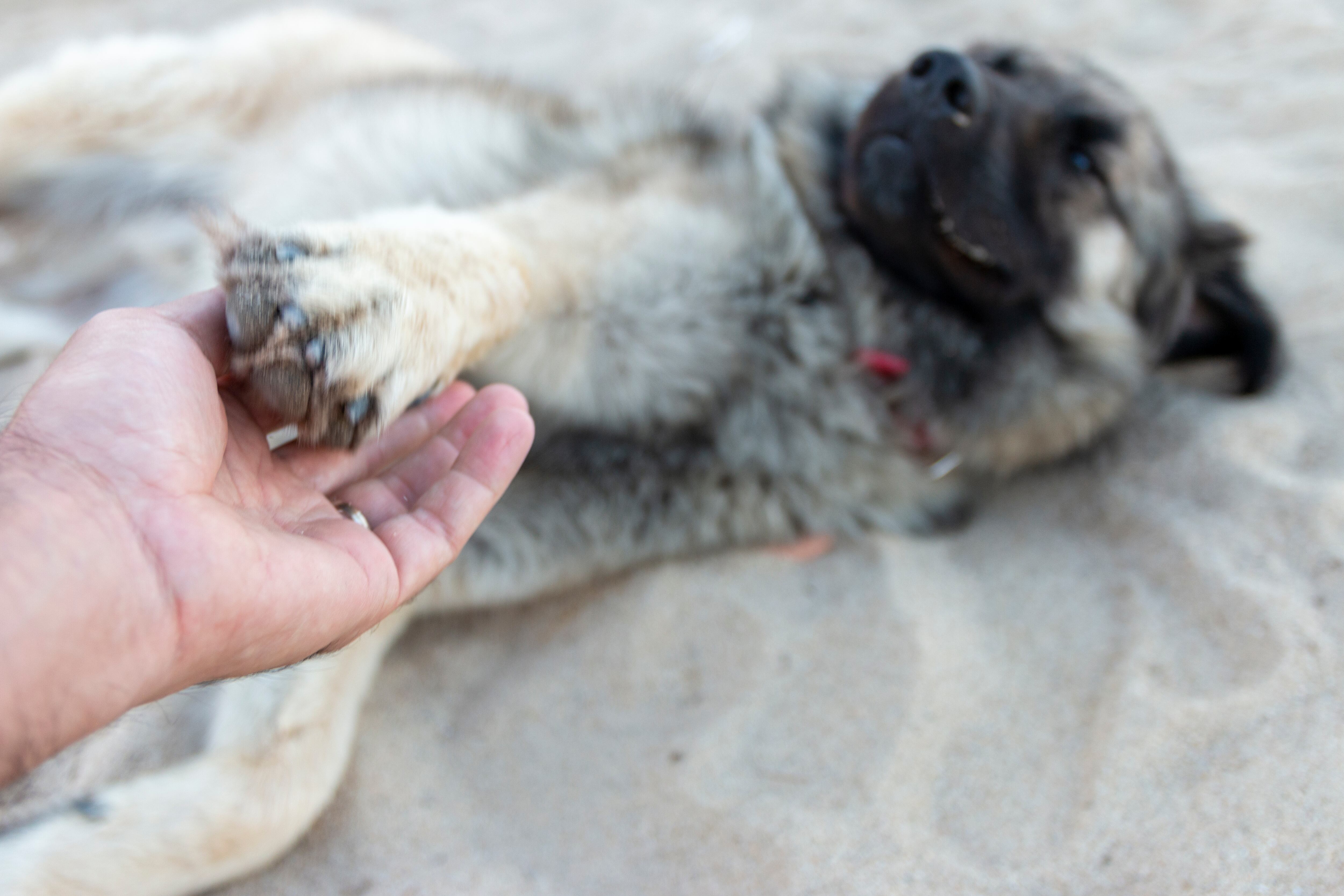 El hombre cometió el crimen en una playa de su pueblo.