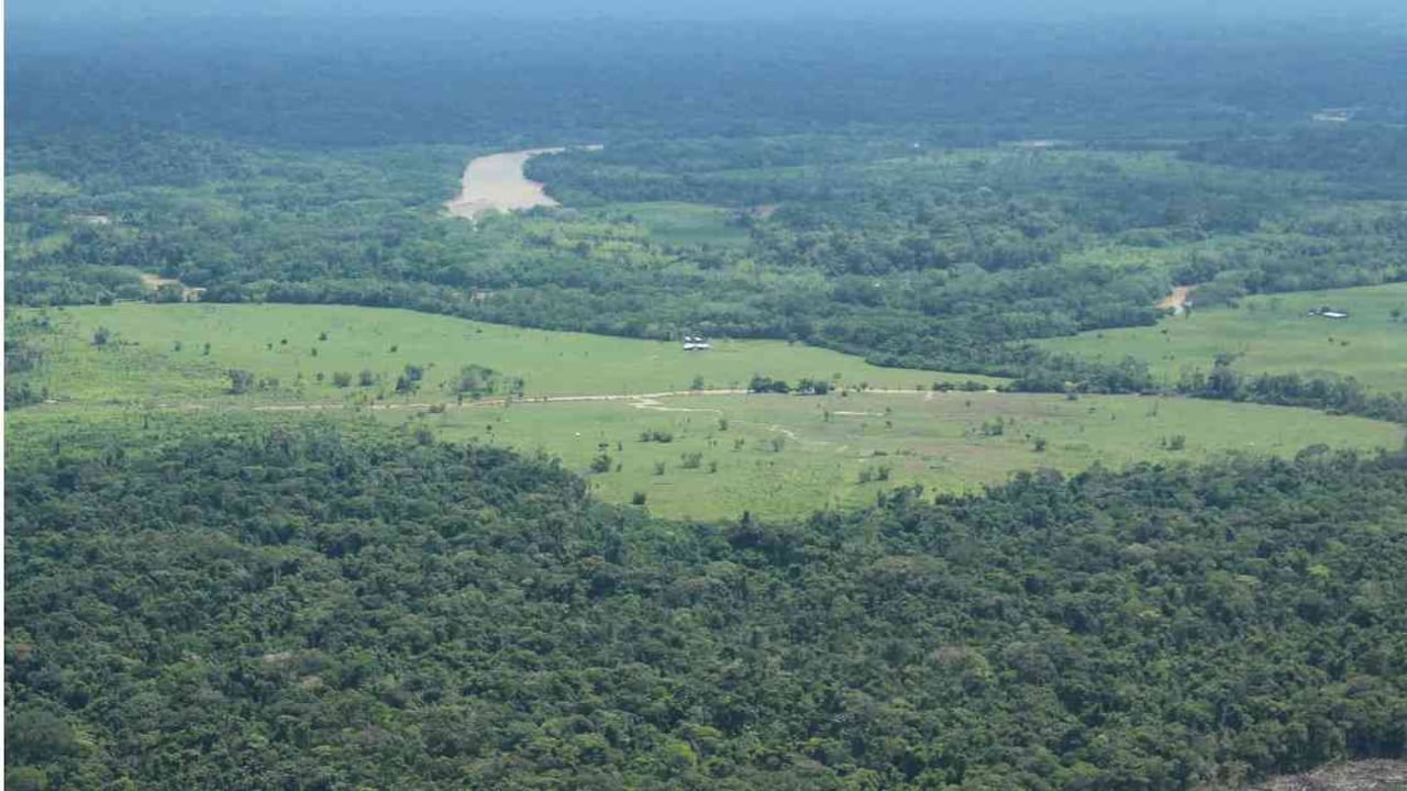 La frontera agrícola del país es de 40 millones de hectáreas, según análisis de la UPRA. Foto: Archivo Semana.