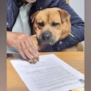 Facebook Junta de Freguesia de Baguim do Monte