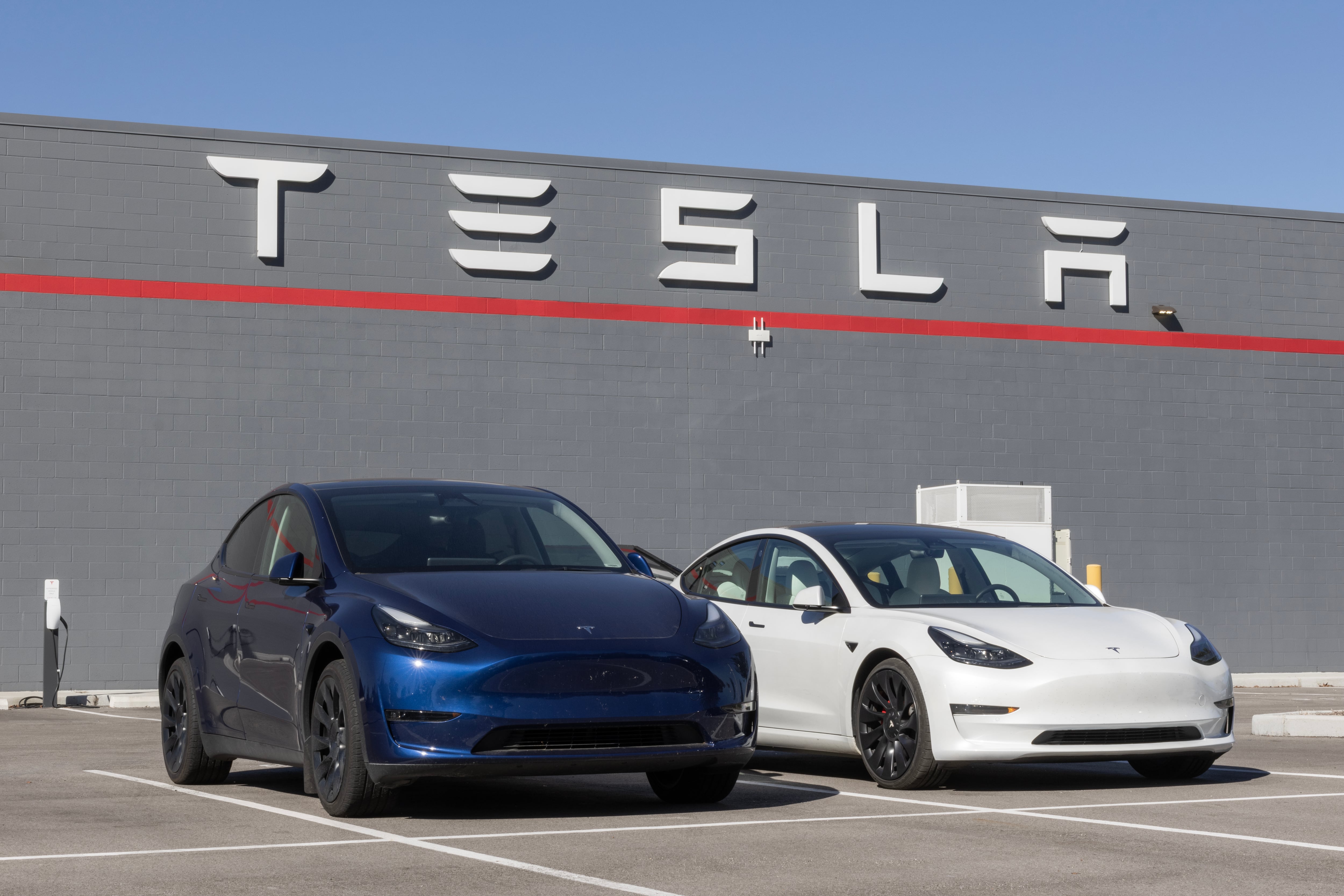 Tesla confirmró su llegada al país. Ofrecerá Model Y y Model 3