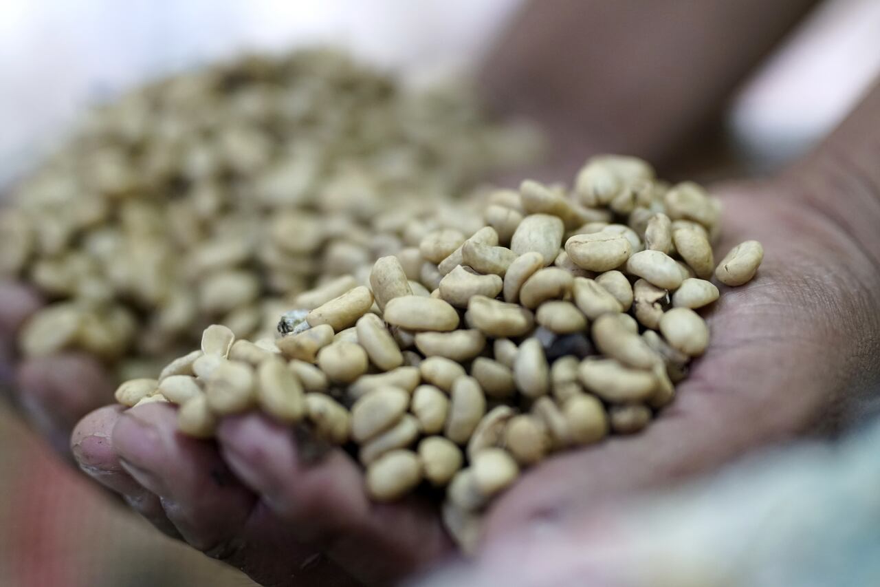 El día Nacional del café se celebra este jueves 27 de junio, con el aniversario de la creación de la Federación Nacional de Cafeteros, entidad que nació el 27 de junio de 1927