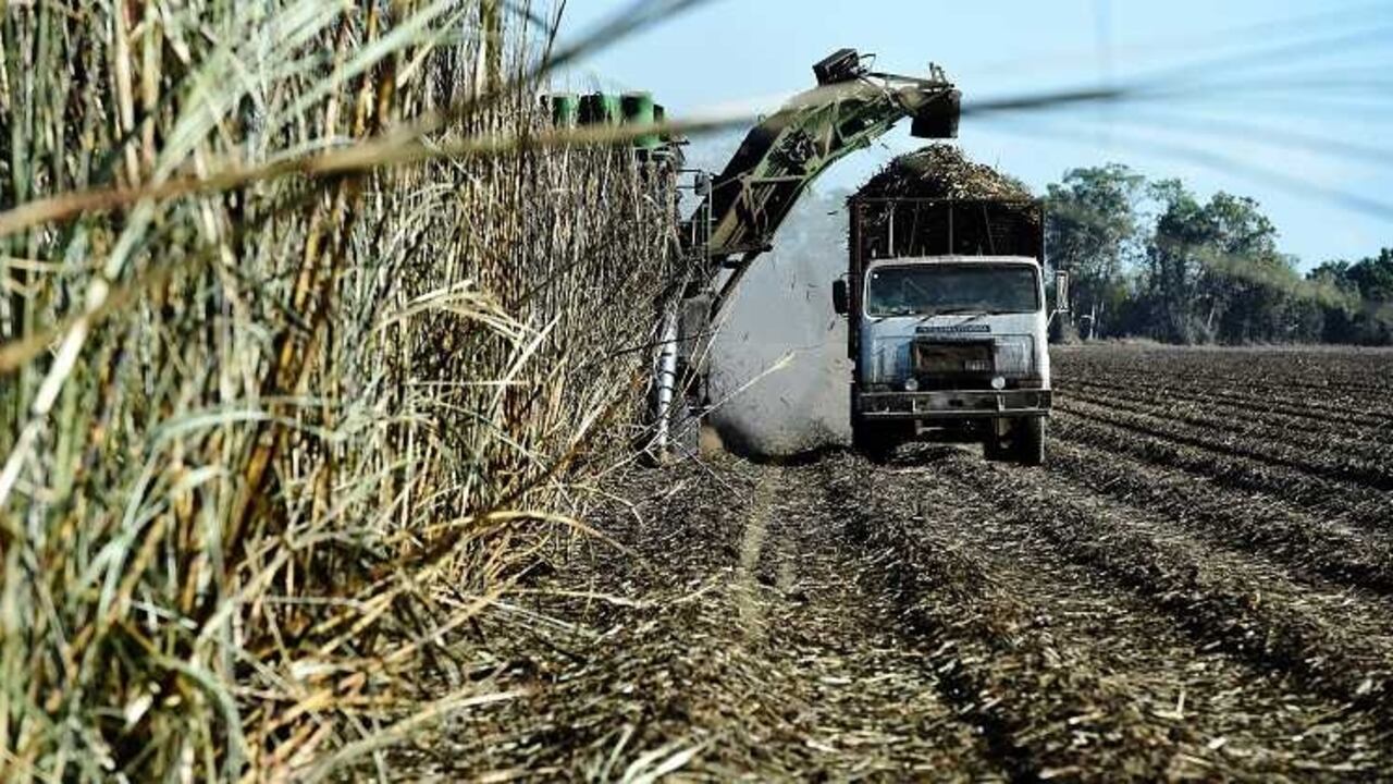 Los gremios de la caña de azúcar rechazan todo atentado en contra de los líderes de la región del Cauca y Valle.
