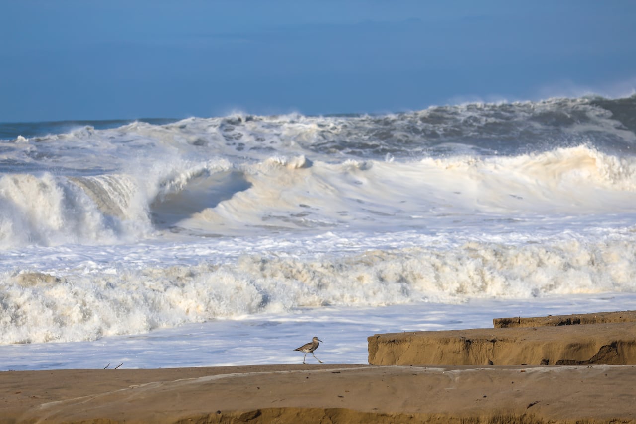 La combinación de mareas altas, tormentas y hundimiento del terreno expone a numerosas comunidades costeras a un riesgo creciente de inundaciones permanentes
