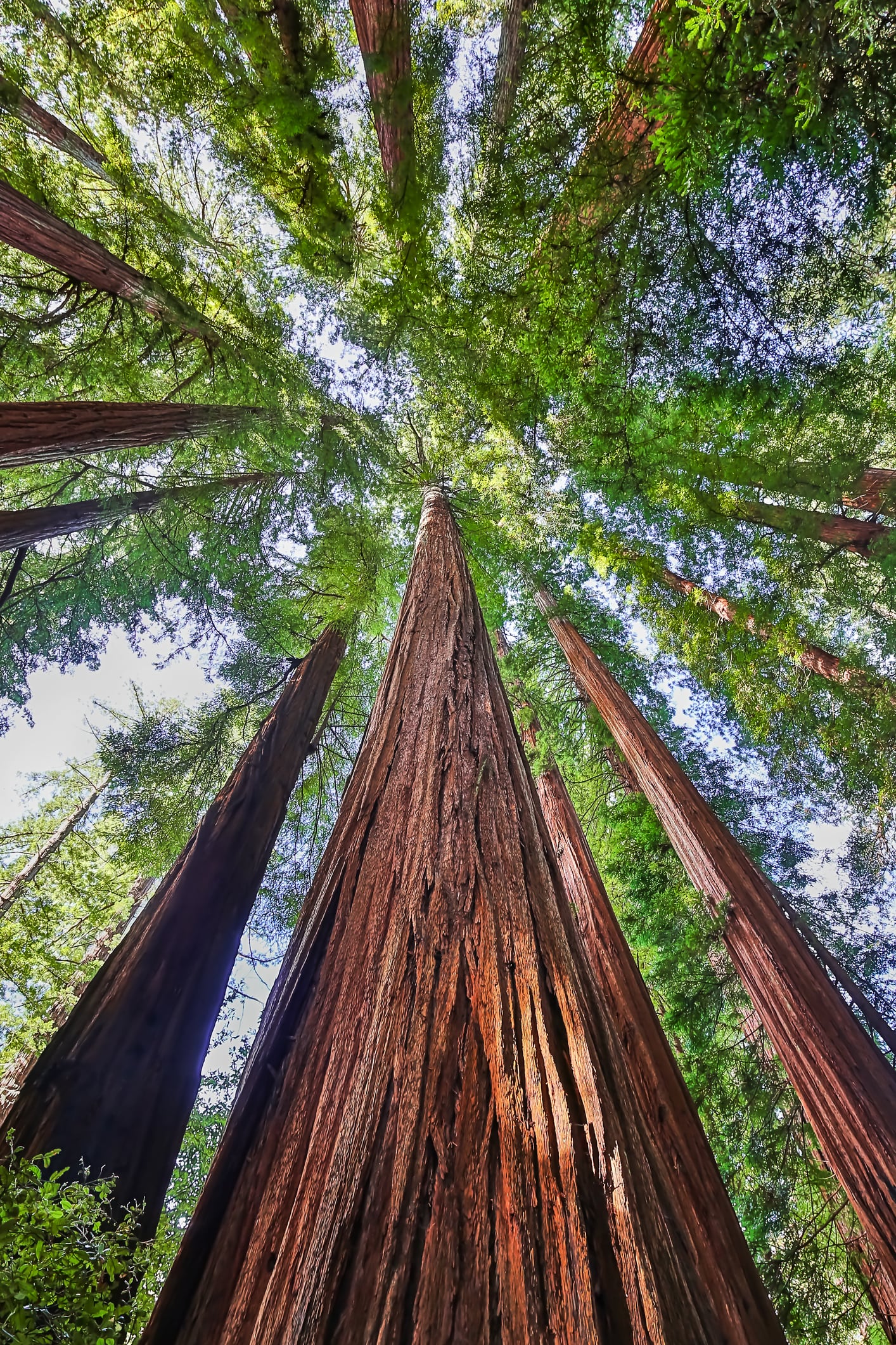 Este destino en California, Estados Unidos es uno de los amejroes para visitar en 2027.