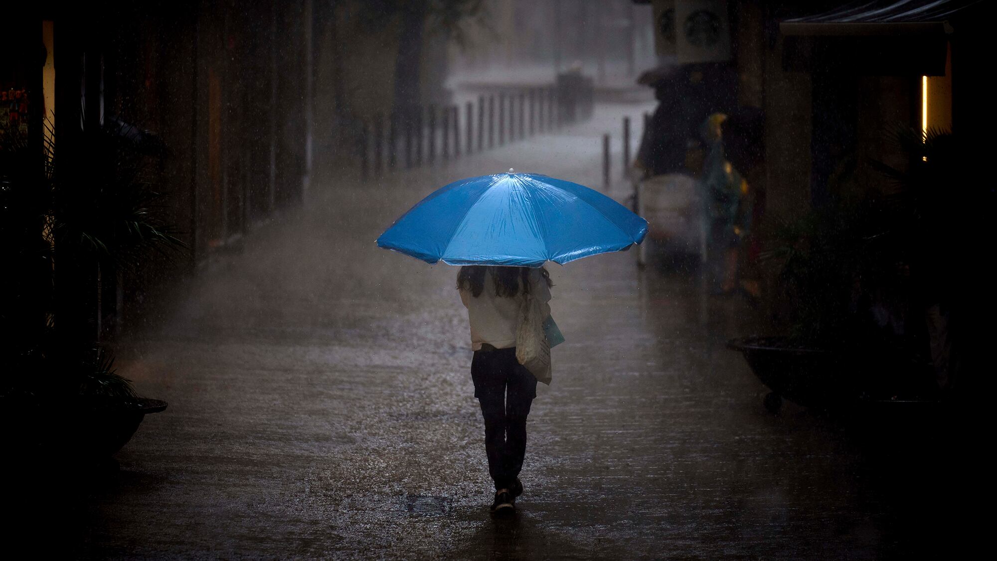 Fotos de la semana 12 septiembre