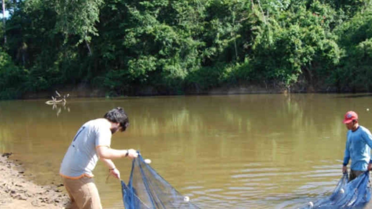 Los investigadores preparan una red para la recolección de peces en la Calha Norte. Foto: Tiago Freitas vía Mongabay - Colombia hoy.