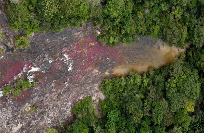 Entre 2010 y 2015 se incrementó en un 224% el empleo por el turismo en La Macarena. Foto: Guillermo Torres / SEMANA
