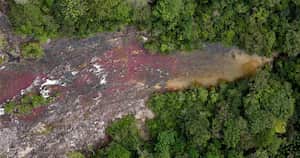 Entre 2010 y 2015 se incrementó en un 224% el empleo por el turismo en La Macarena. Foto: Guillermo Torres / SEMANA