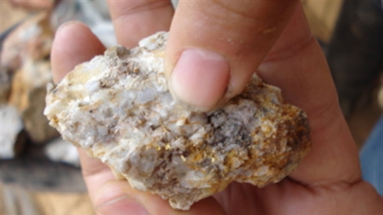 Oro en una roca de veta.