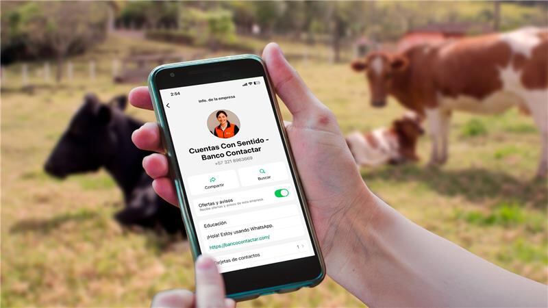 Inteligencia artificial aplicada a la educación financiera