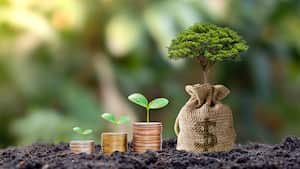 Plantar un árbol con mucho dinero y una bolsa de ahorros que crece del suelo al sol de la mañana, ideas de inversión empresarial y crecimiento financiero.