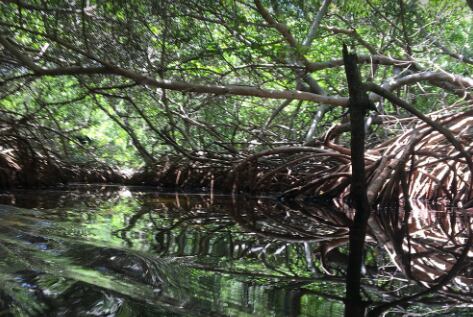 Isla Grande, Cartagena