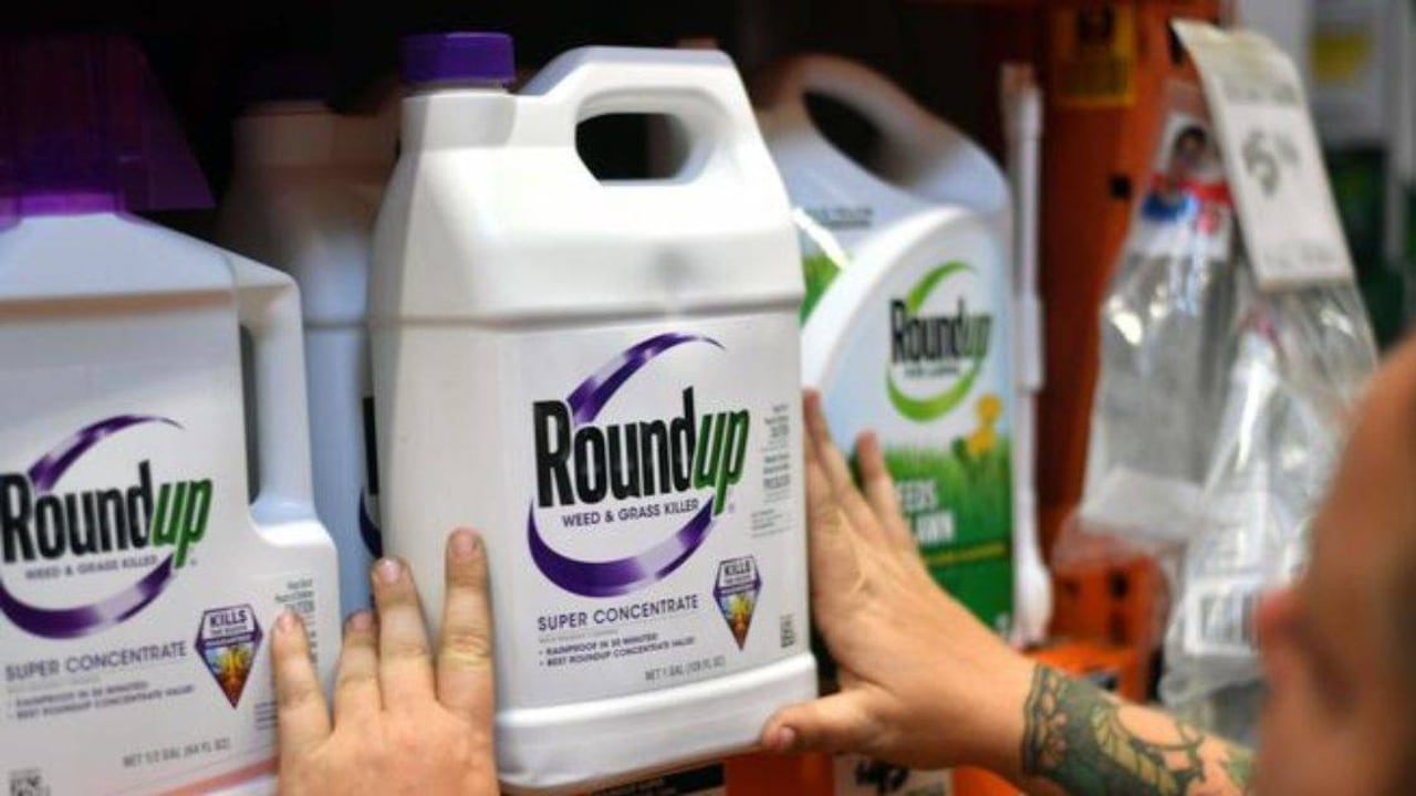 Roundup, producto hecho a base de glifosato, fabricado por la empresa Monsanto. Foto: Getty vía DW.