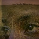 Cortesía 6ª Muestra Afro - Cinemateca de Bogotá