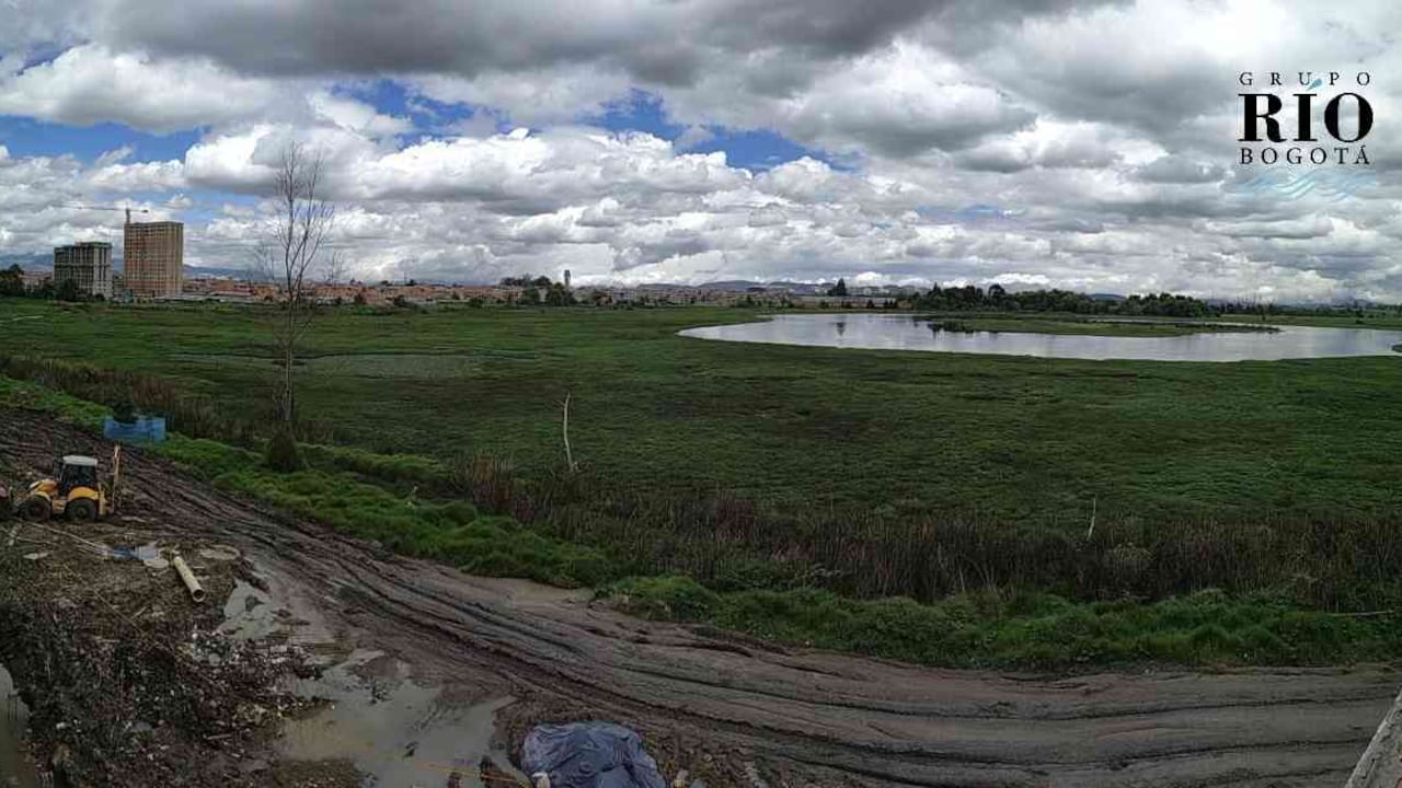 Las obras en los humedales de Bogotá continúan impactando la biodiversidad. Foto: Jhon Barros.