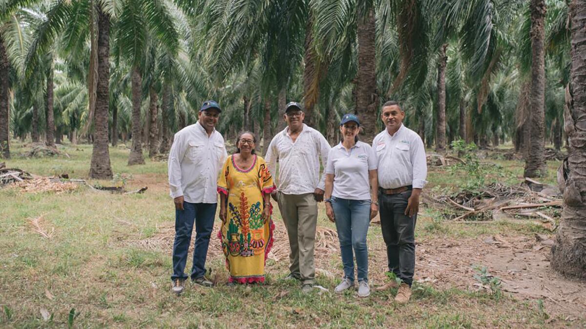 Especial Caribe, Oleoflores
