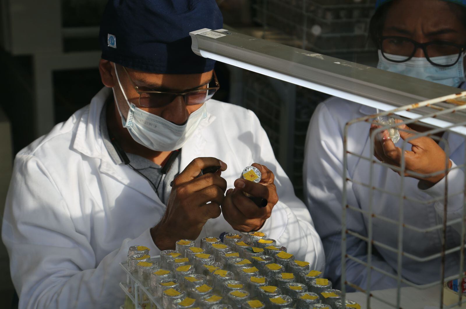 Ministerio de Ciencia, Tecnología e Información