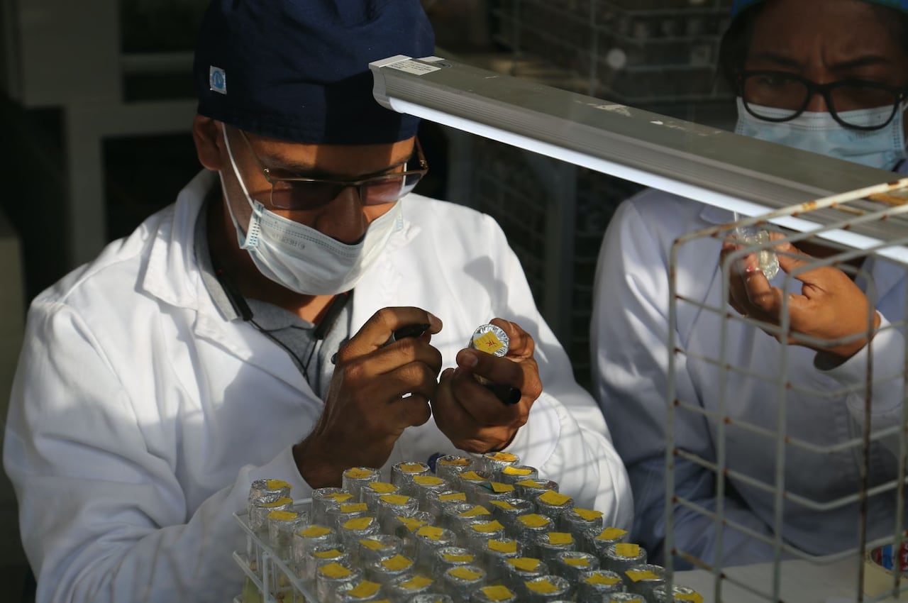 Ministerio de Ciencia, Tecnología e Información