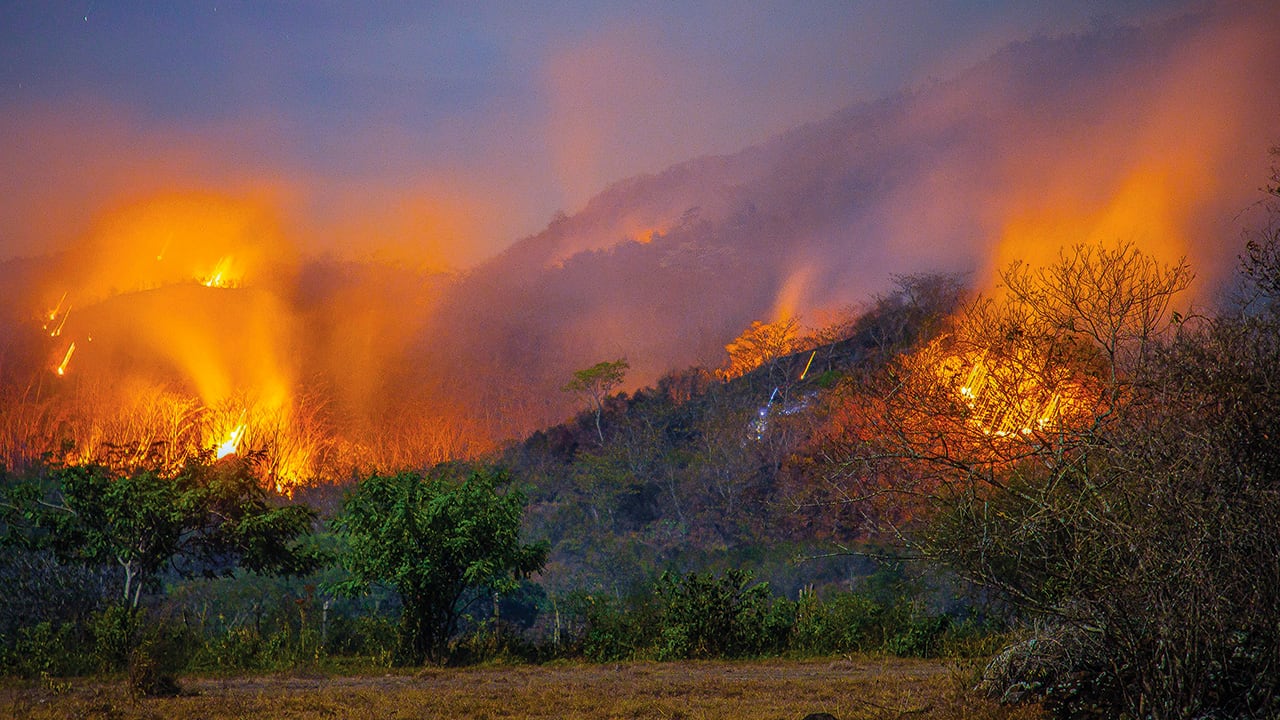 Más de 50.000 hectáreas fueron afectadas mientras aumentan las dudas sobre el origen del fuego.