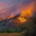 Más de 50.000 hectáreas fueron afectadas mientras aumentan las dudas sobre el origen del fuego.
