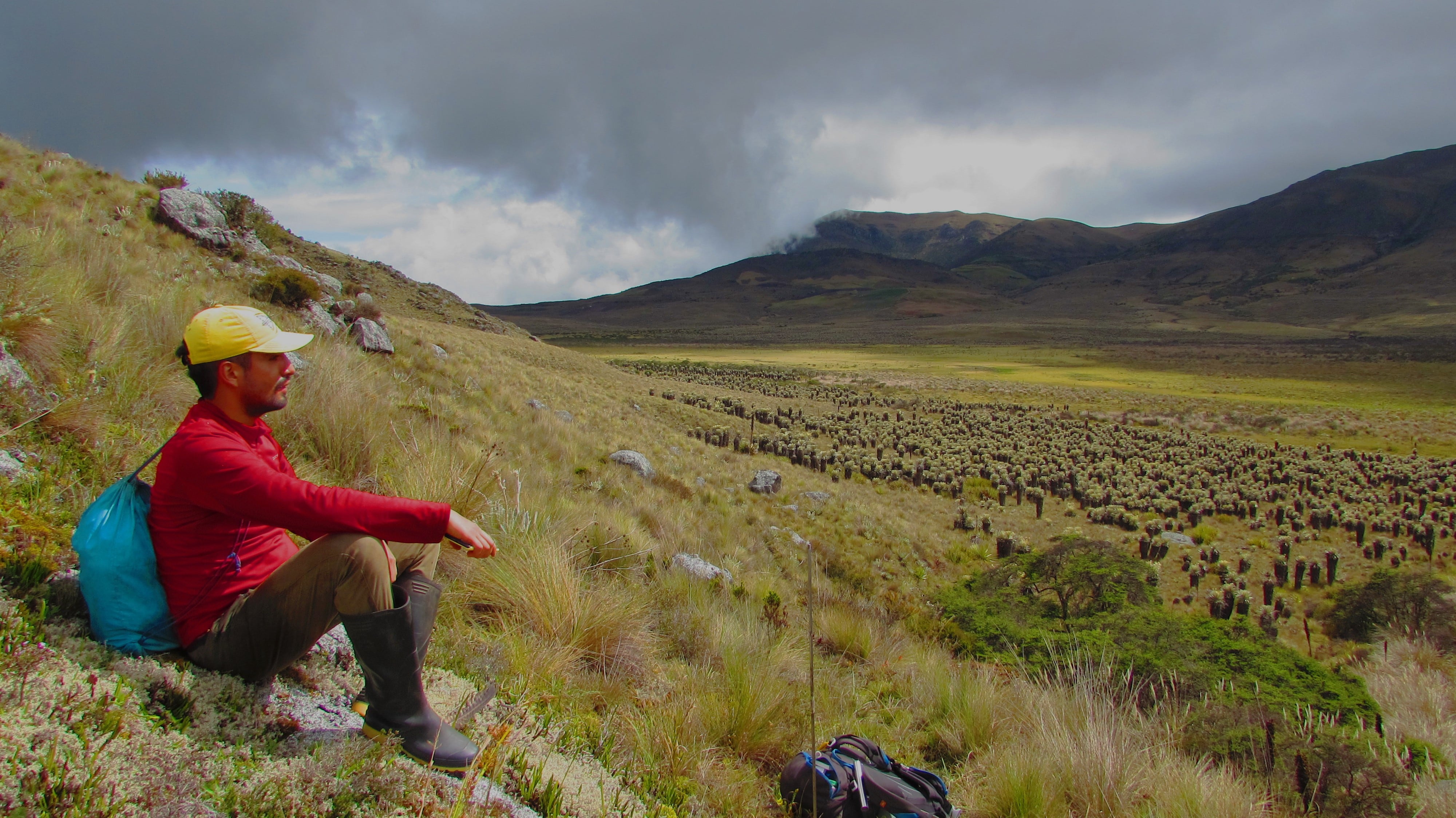 David Santiago Rocha Cárdenas, ecólogo colombiano.
