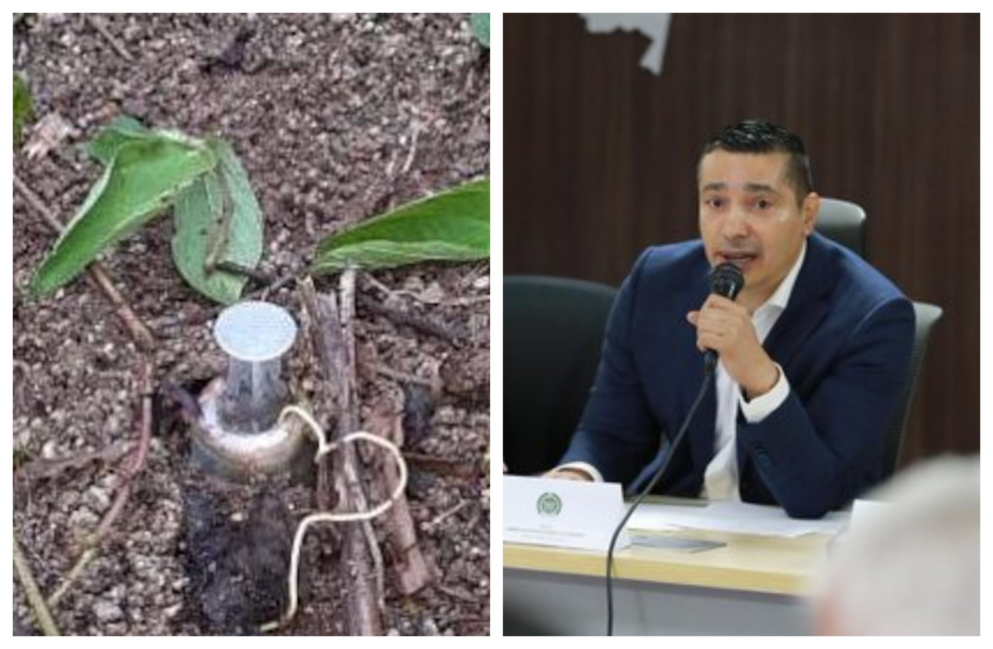 Tío del gobernador del Cauca, Octavio Guzmán, sufrió graves heridas en un campo minado en La Vega, Macizo colombiano.