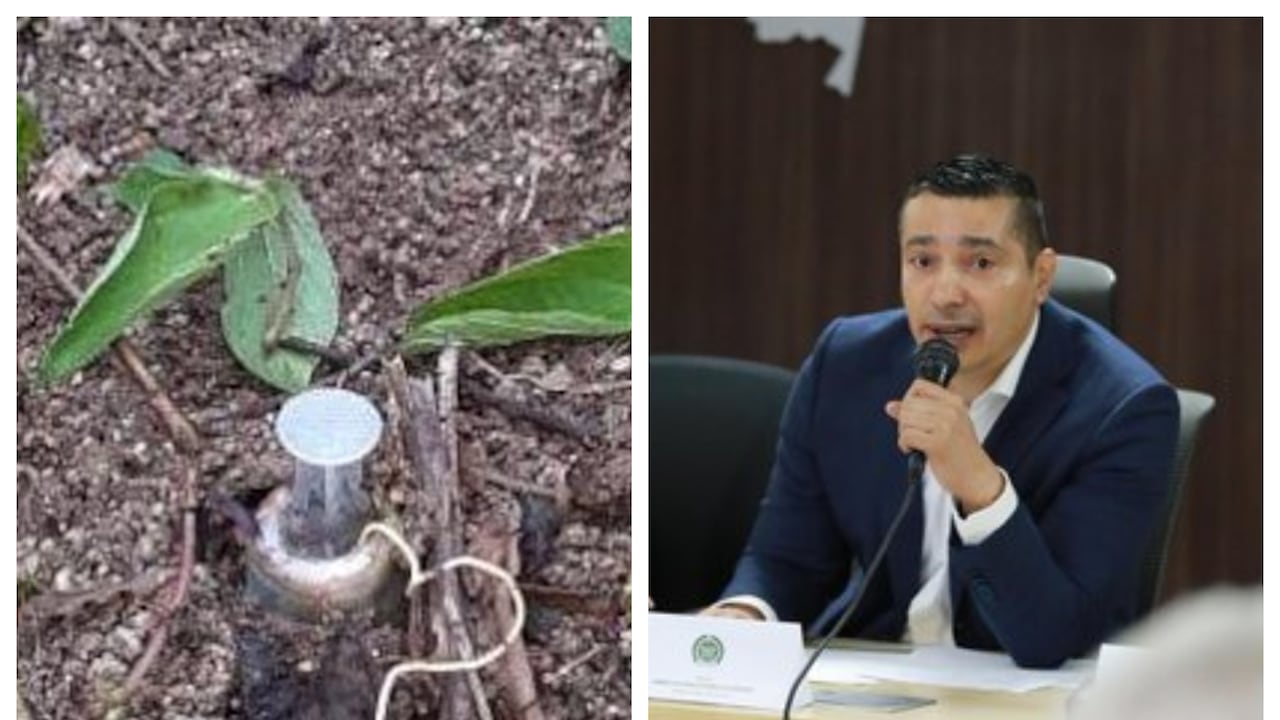 Mina antipersonal en Cauca, gobernador Octavio Guzmán.