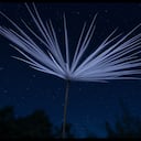 Cuatro semillas de un diente de león son las únicas supervivientes de una serie de explosiones nucleares que destruyen la Tierra. Lanzadas al cosmos, emprenden una aventura inolvidable en busca de un nuevo hogar donde la vida pueda comenzar otra vez.