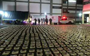 La marihuana incautada por las autoridades.