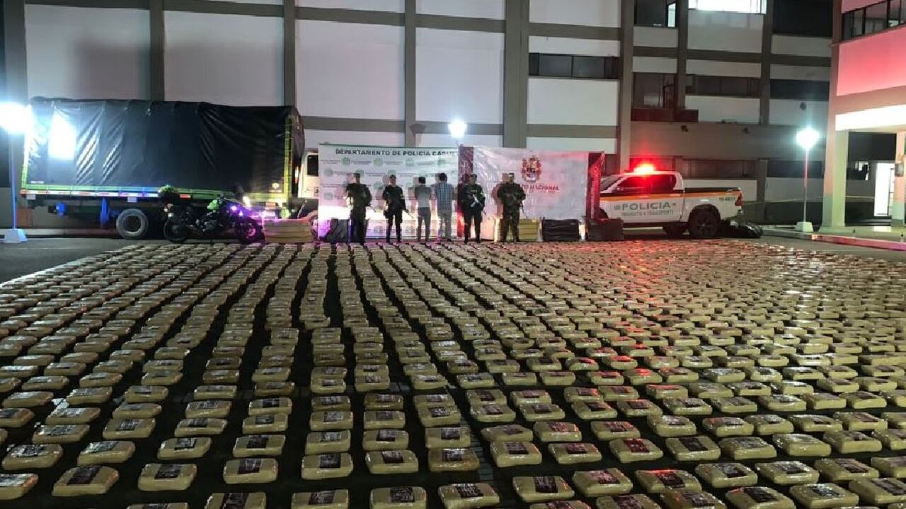 La marihuana incautada por las autoridades.